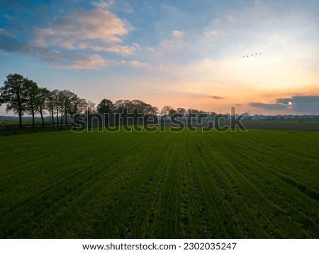 Bird's eye view of agricultural area and green wavy fields in sunny day. Agronomic industry. Agrarian region of Belgium, Europe. Cinematic aerial shot. Beauty of earth. High quality photo
