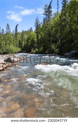 View of stone bed of fast river with clear water and green forest along banks on sunny day. Beautiful summer landscape. Natural background. River Ekhe-Ukhgun, Nilovka, Tunka valley, Buryatia Royalty-Free Stock Photo #2302045719