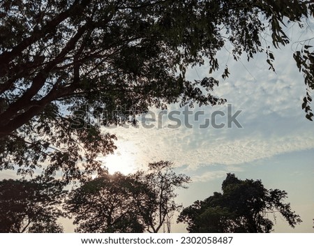 Beautiful blue sky, tree and sun
