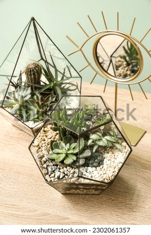 Florariums with mirror on table near green wall, closeup