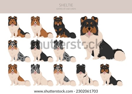 Sheltie, Shetland sheepdog clipart. Different poses, coat colors set.  Vector illustration