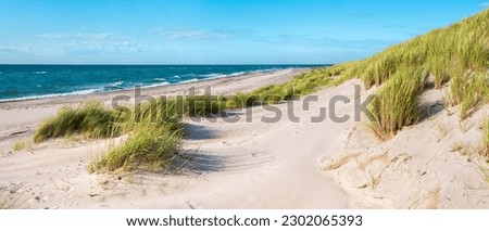 Panorama, Untouched Beach of the Baltic Sea in Summer, Coastal Dunes with Beach Grass, Darss Peninsula, National Park, Germany Royalty-Free Stock Photo #2302065393