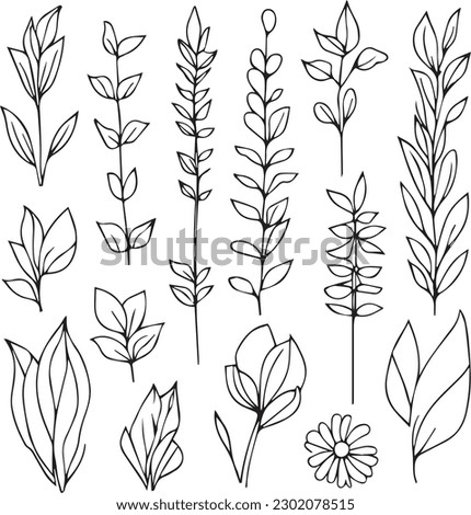 Set of vector hand-drawn botanical leaf, botanical line drawng,  wildflower botanical line art,leafs vector art, Pencil realistic wild flower drawing, ink sketch isolated on white background.