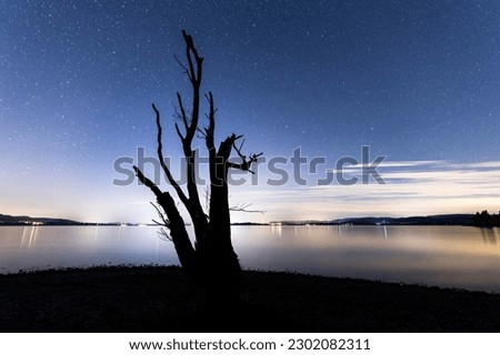 Starry sky over Lake Constance, in front silhouette of bare tree, Island Reichenau, Baden-Württemberg, Germany