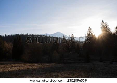 Photo of forest and mountains during golden hour