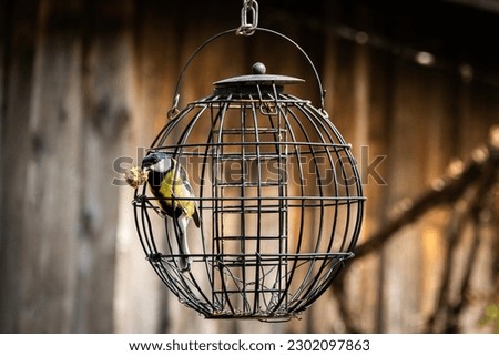 Chickadee with food in its beak perched on the protective cage of a feeder, brown blurred background, horizontal