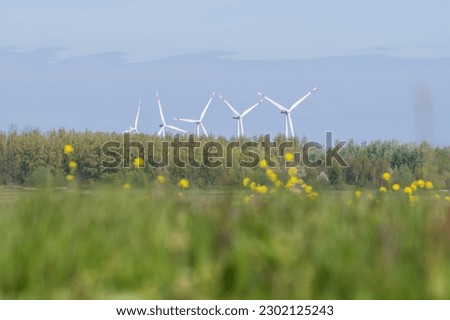 Five wind turbines on Harderringweg in Flevoland are in focus in the background with yellow rapeseed out of focus in the foreground. The photo was taken from the Harderbosweg N306 along the Veluwemeer