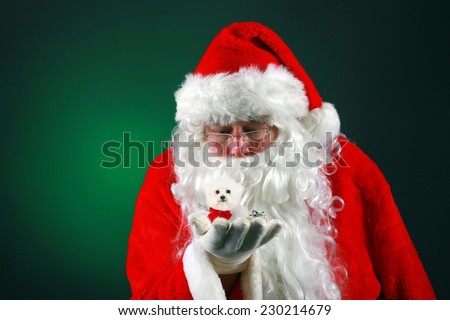 Santa Claus holds a tiny little purebred Bichon Frise dog in the palm of his hand while using his Christmas Magic to make it ready to deliver it to some good little boy or girl for Christmas.