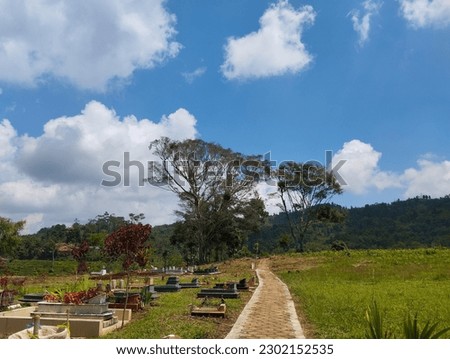 picture of a public cemetery with trees