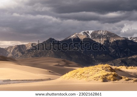 Grass grows in a sand dune in a mountain landscape. There is snow atop the mountain peak and dark grey clouds in the sky. The sun is shining down on the sand.