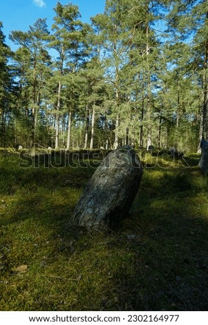 Single monument in middle of goth burial mounds in Poland, pomerania