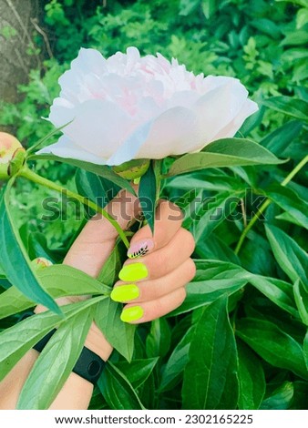 white peony in hand with manicure