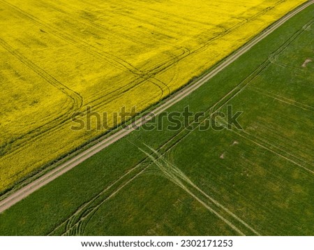 aerial view of a yellow rapeseed field and green wheat field divided by a rustic dirt road.