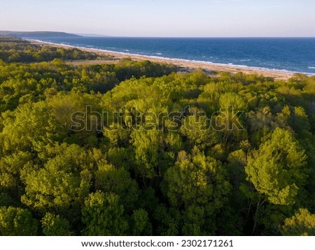 Aerial view of the sea, beach, and forest from above. It's a beautiful natural landscape that's perfect for nature lovers and anyone seeking a scenic and picturesque escape.