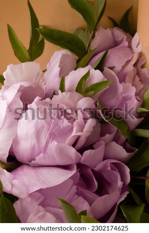 pink peonies on an orange background, pink peonies on the table
