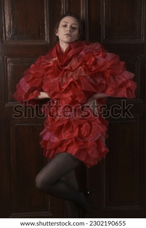 Portrait of a young women in the red artistic dress