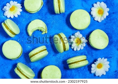 French pistachio macarons with daisy flowers on blue grunge background