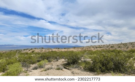 Looking north towards Cima Dome, Mojave National Preserve, California, USA Royalty-Free Stock Photo #2302217773