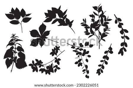 set of twigs and branches silhouettes, vectorized, leaves, branches Royalty-Free Stock Photo #2302226051