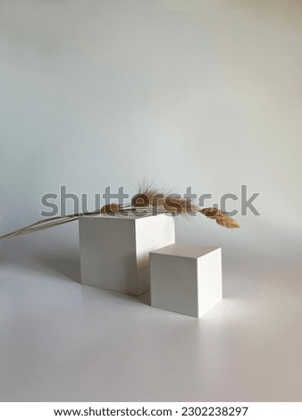 White square podiums in sunlight with shadow on white background. Trend fashion showcase for cosmetic products, goods, shoes, bags, watches.Studio photo
