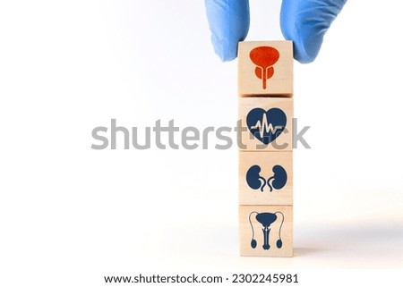 Bladder and prostate, HTA. Prostate cancer, bladder cancer, men's health care. Adult male medical checkup concept. Doctor's hand sorts the wooden cubes. Royalty-Free Stock Photo #2302245981