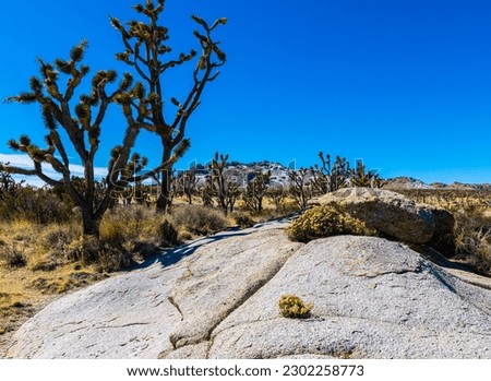 Granite Boulders With Teutonia Peak, Mojave National Preserve, California, USA Royalty-Free Stock Photo #2302258773