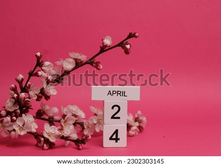Wooden block calendar with date april 24 and peach blossom branch on pink background. spring time, planning, holiday