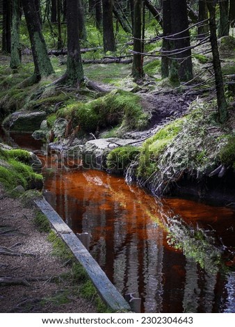 The red color of the very clean water can come from minerals like iron. However, it can also be due to the fact that the water comes from bogs and therefore high amounts of humic acids are dissolved.