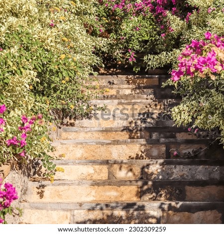 Natural stone stairs landscaping in the garden. High quality photo