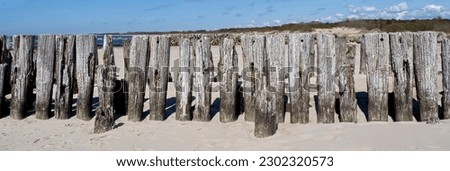 Panoramic photo of the ancient wooden piles of the pier. Vintage background.