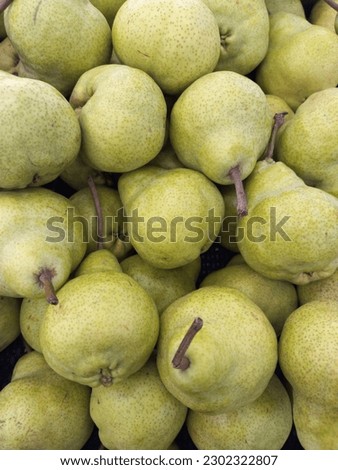 Photo of green pear stock images
