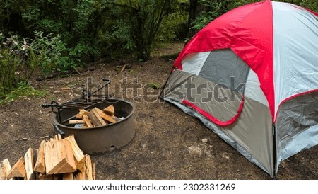 Cozy Camping: Roasting Marshmallows by the Campfire in a Serene Forest Setting. Campfire and camping tent in the forest