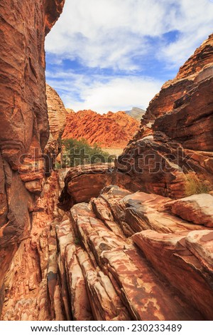 Red Rock Canyon National Conservation Area Royalty-Free Stock Photo #230233489