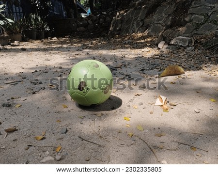 an old ball at a rustic garden between falling trees at noon