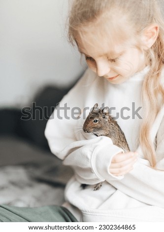 Young girl playing with cute chilean degu squirrel.  Cute pet sitting on kid's hand