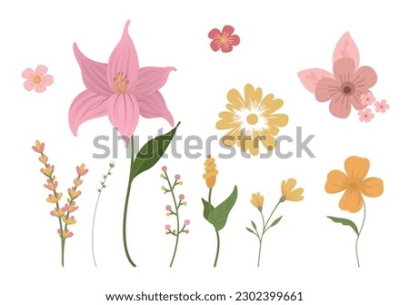 Set of hand drawn abstract flowers