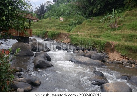 The flow of the river that flows between rocks. A scene of wild river water flowing in the forest. Views of the river forest water and rocks