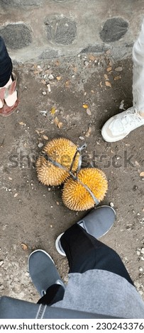 Two yellow durian with another people in the ground
