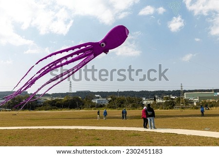 Scenery field kite field, octopus-shaped kites
