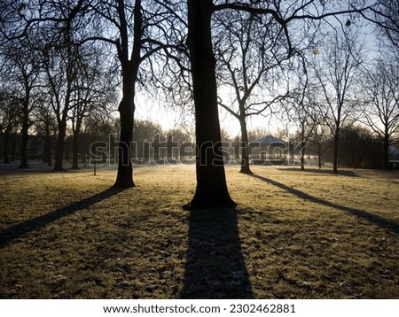 A park in the early morning mist