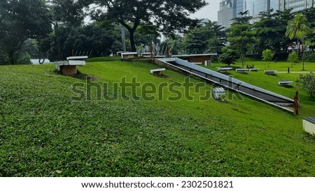 Summer day in public city park. Beautiful scenery of expanse of grass and shady green trees