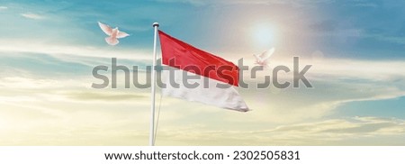 Waving flag of Monaco in beautiful sky. Monaco flag for independence day.