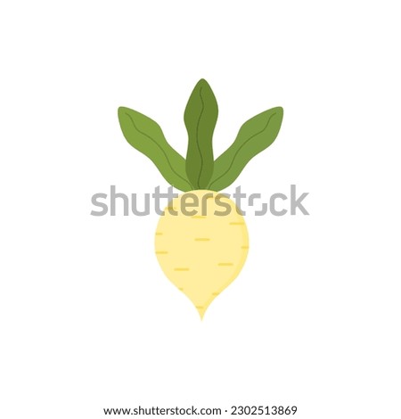 turnip flat design vector illustration