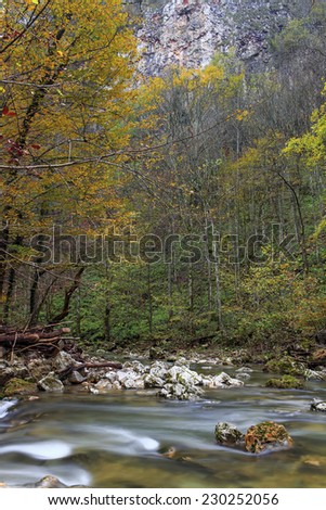 Mountain river in late Autumn