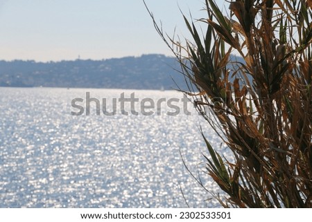 A photo of the Mediterranean Sea(South of France) on a sunny day 