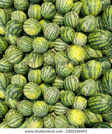 Lots of green whole watermelons for a background use. Pile of green watermelons at a fruit market.