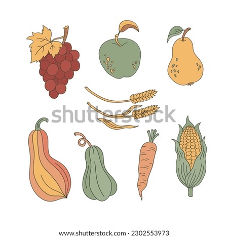 Autumn vegetable fruit vector clip-art set isolated on white. Grapes apple pear pumpkin carrot mais corn hand drawn illustration collection. Happy Thanksgiving harvest design elements