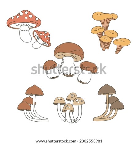 Autumn mushroom vector clip-art set isolated on white. Fall fungus hand drawn illustration collection. Happy Thanksgiving Day design elements