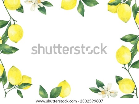 Lemon branch with flowers hand drawn watercolor illustration. Lemon frame isolated on white background perfect for packaging, invitation, greeting card