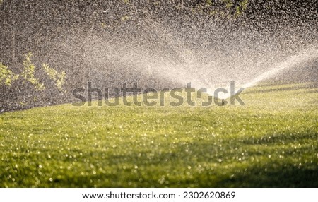 Automatic garden lawn sprinkler in action watering green grass a Royalty-Free Stock Photo #2302620869